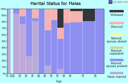 Zip code 47847 marital status for males