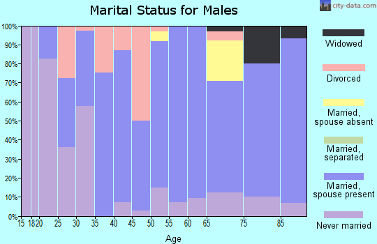 Zip code 47848 marital status for males