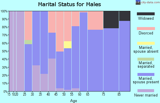 Zip code 47850 marital status for males