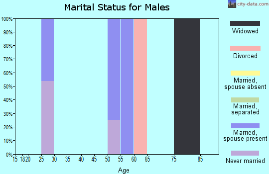 Zip code 47853 marital status for males