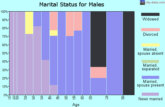 Zip code 47855 marital status for males