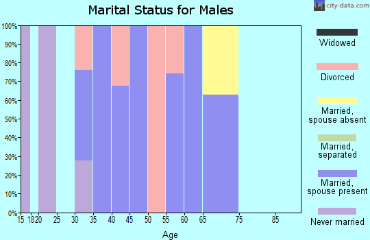 Zip code 47858 marital status for males