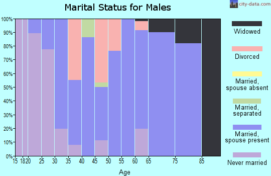 Zip code 47859 marital status for males