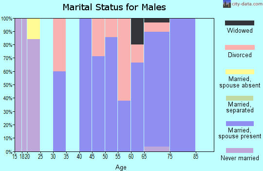 Zip code 47861 marital status for males
