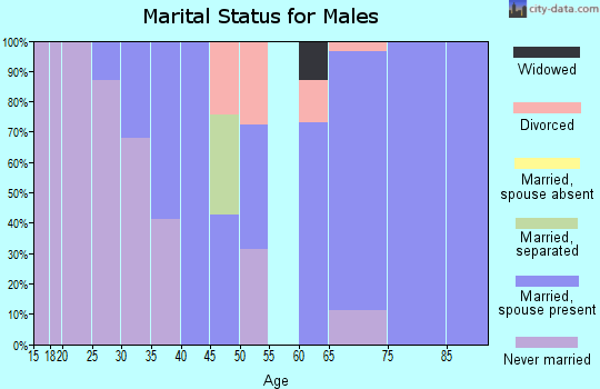 Zip code 47862 marital status for males