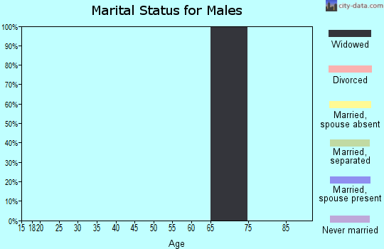 Zip code 47865 marital status for males
