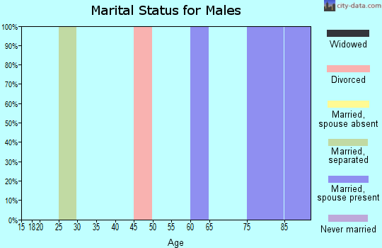 Zip code 47866 marital status for males