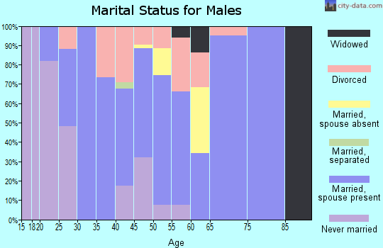 Zip code 47874 marital status for males
