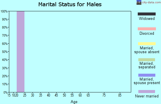 Zip code 47876 marital status for males