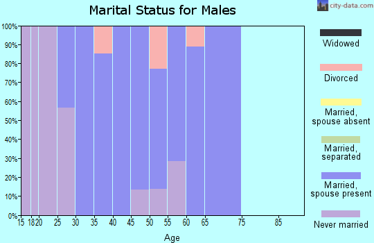 Zip code 47881 marital status for males