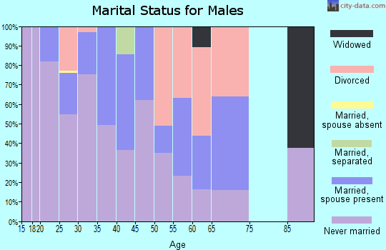 Zip code 47901 marital status for males