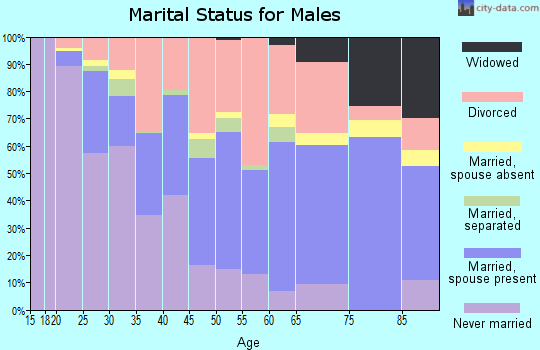 Zip code 47904 marital status for males