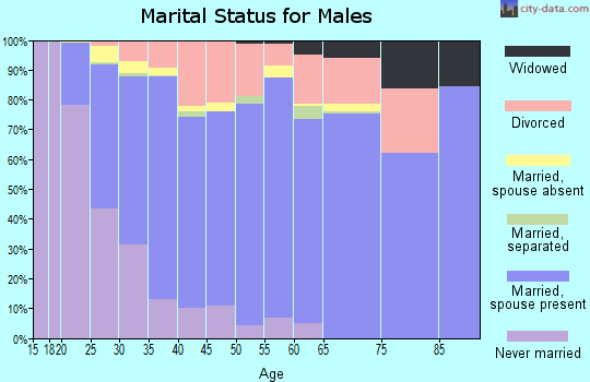 Zip code 47909 marital status for males