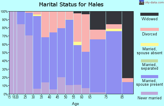 Zip code 47918 marital status for males