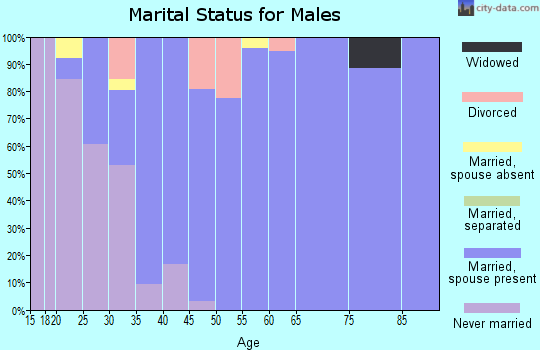 Zip code 47920 marital status for males