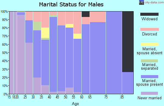 Zip code 47923 marital status for males