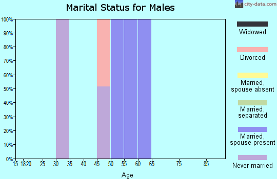 Zip code 47924 marital status for males