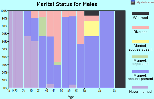 Zip code 47926 marital status for males