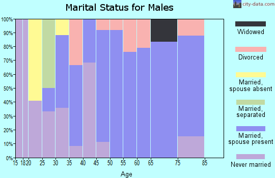 Zip code 47928 marital status for males