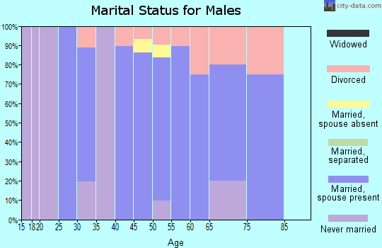 Zip code 47929 marital status for males