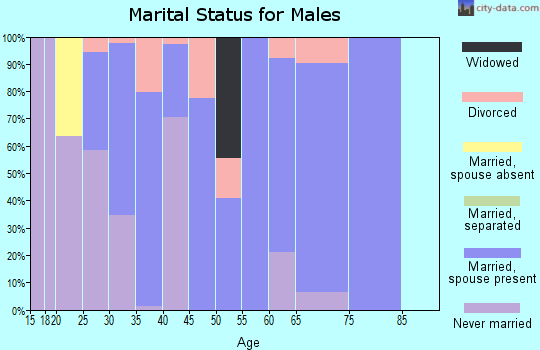 Zip code 47940 marital status for males