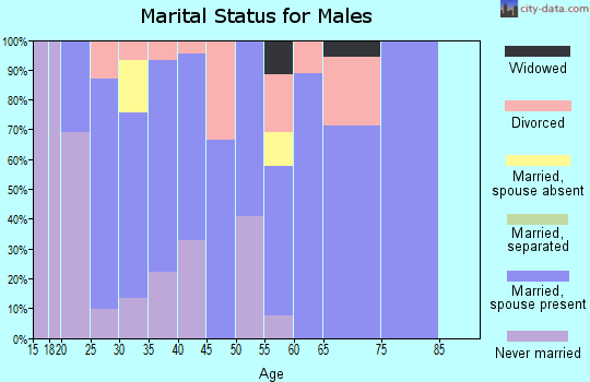 Zip code 47941 marital status for males