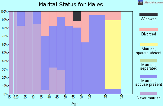 Zip code 47942 marital status for males