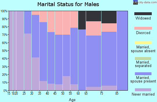 Zip code 47944 marital status for males