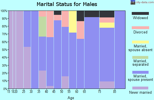 Zip code 47948 marital status for males