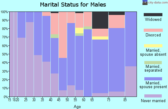 Zip code 47951 marital status for males