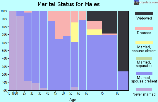 Zip code 47954 marital status for males