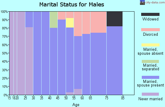 Zip code 47955 marital status for males