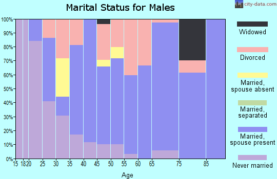 Zip code 47959 marital status for males