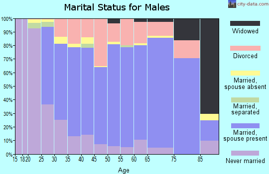 Zip code 47960 marital status for males