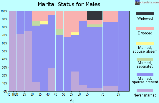 Zip code 47963 marital status for males