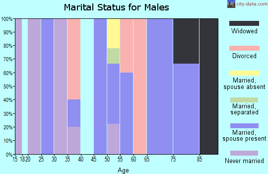 Zip code 47964 marital status for males