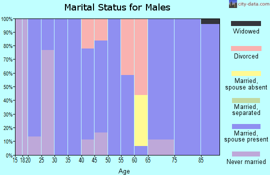 Zip code 47968 marital status for males