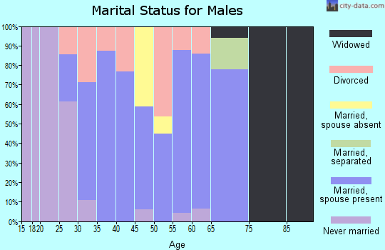 Zip code 47970 marital status for males