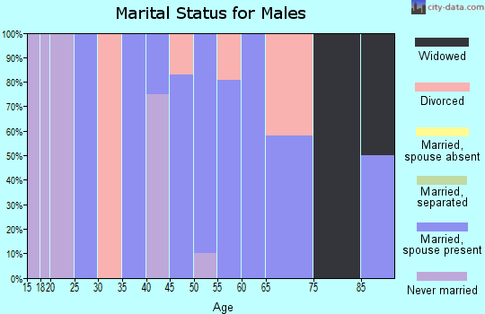Zip code 47975 marital status for males