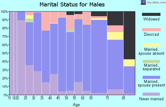 Zip code 47978 marital status for males