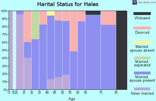 Zip code 47980 marital status for males