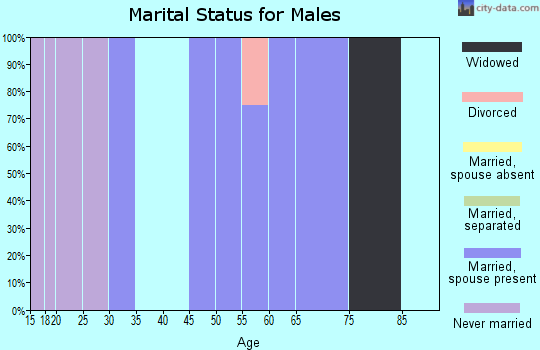 Zip code 47982 marital status for males