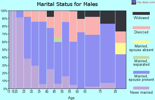Zip code 47987 marital status for males