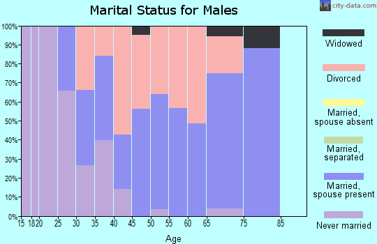Zip code 47991 marital status for males