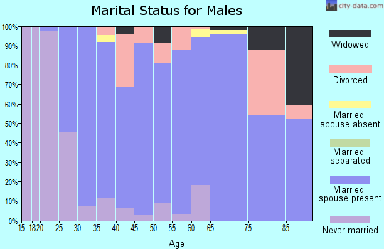 Zip code 47993 marital status for males