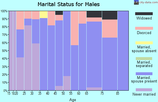 Zip code 47995 marital status for males