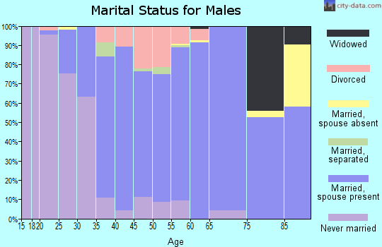 Zip code 48005 marital status for males