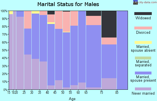 Zip code 48006 marital status for males