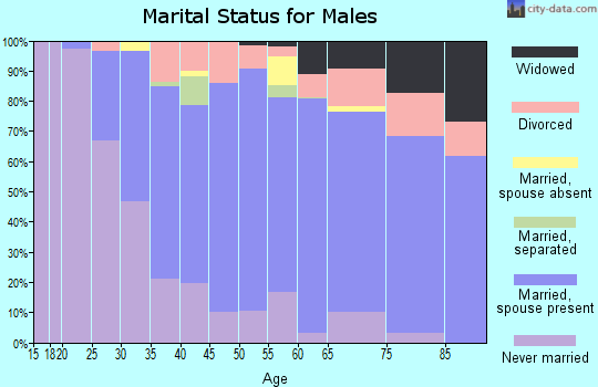Zip code 48026 marital status for males