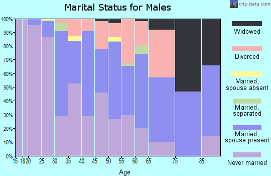 Zip code 48030 marital status for males